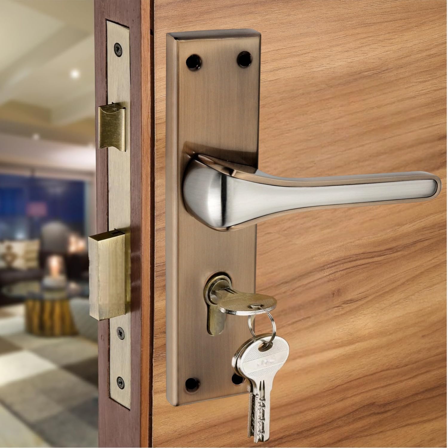 Door Latch Lock Repair Bengaluru